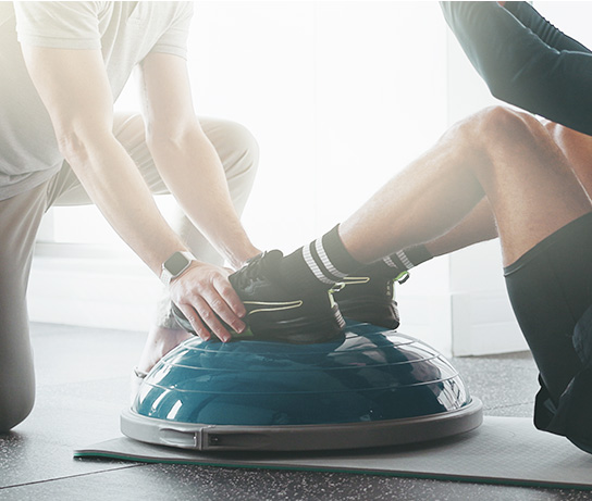 骨格見本・ストレッチによる柔軟性トレーニングサポート